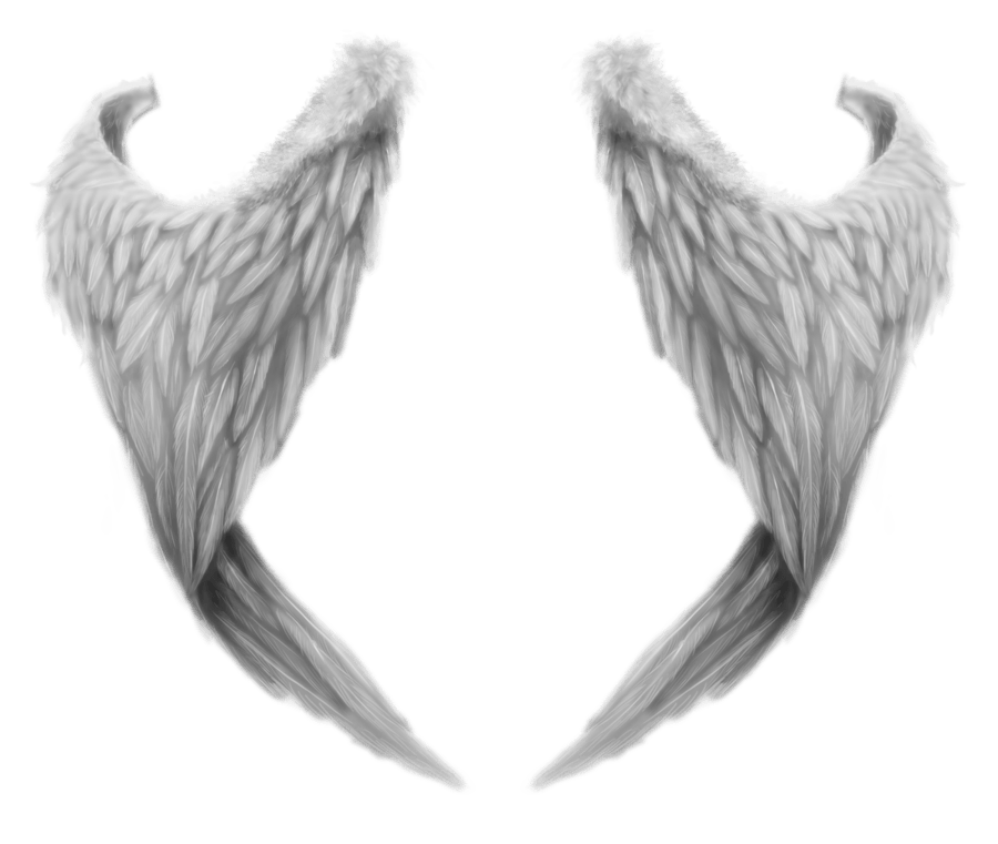 بال فرشتگان
